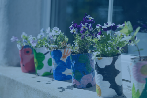 flower pots on the shelf