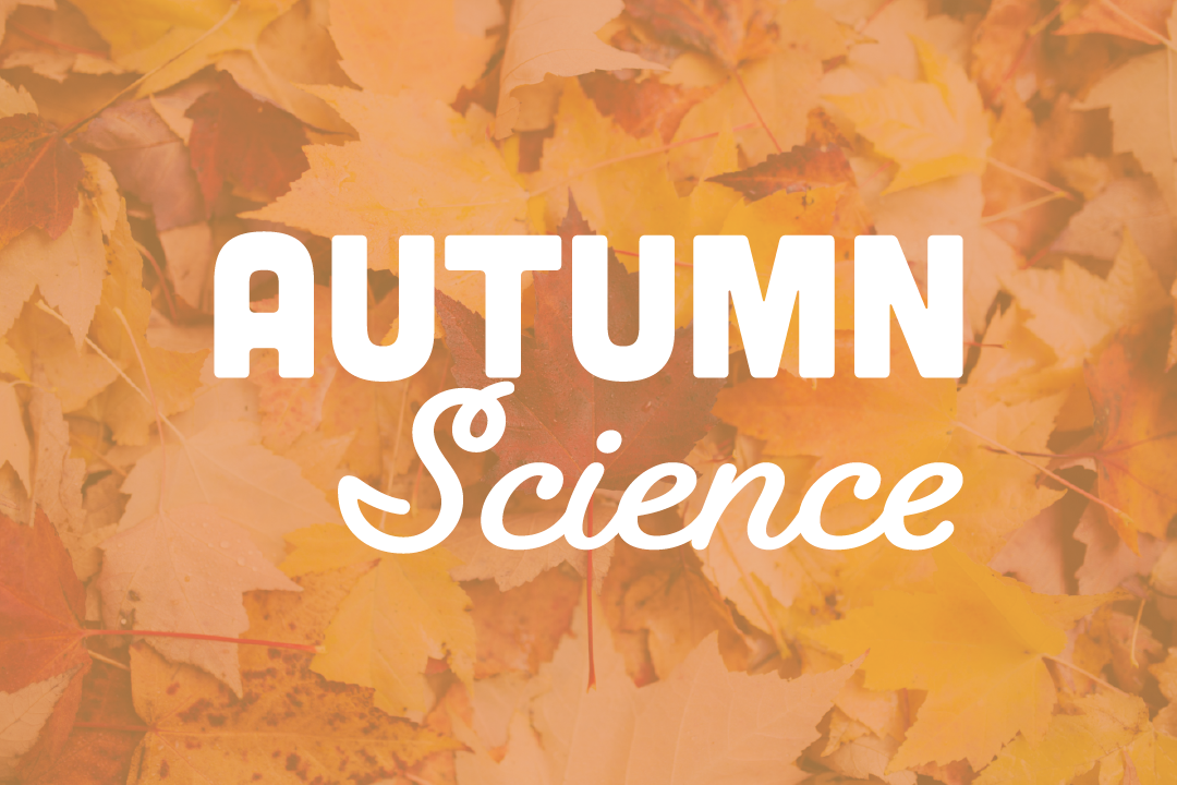 autumn science