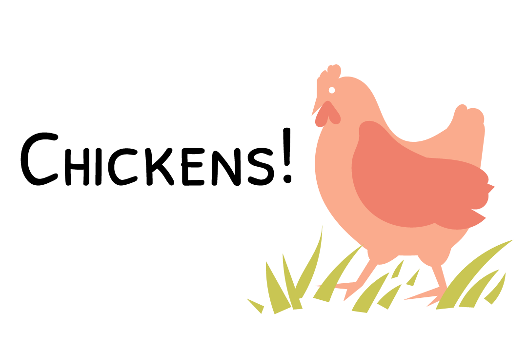 CHICKENS